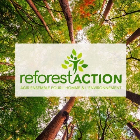 Marie Blachère S'engage Auprès De Reforest'Action ! - Marie Blachère